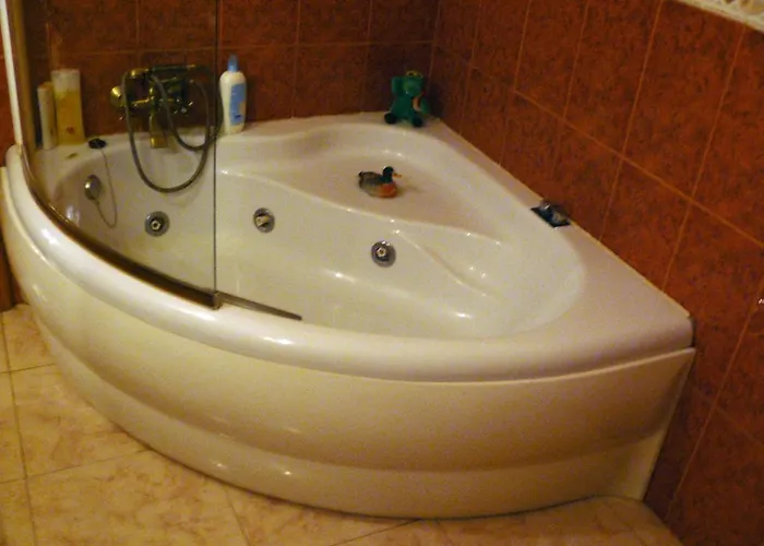 Vivienda Principal Torre De Campos * Ainzon